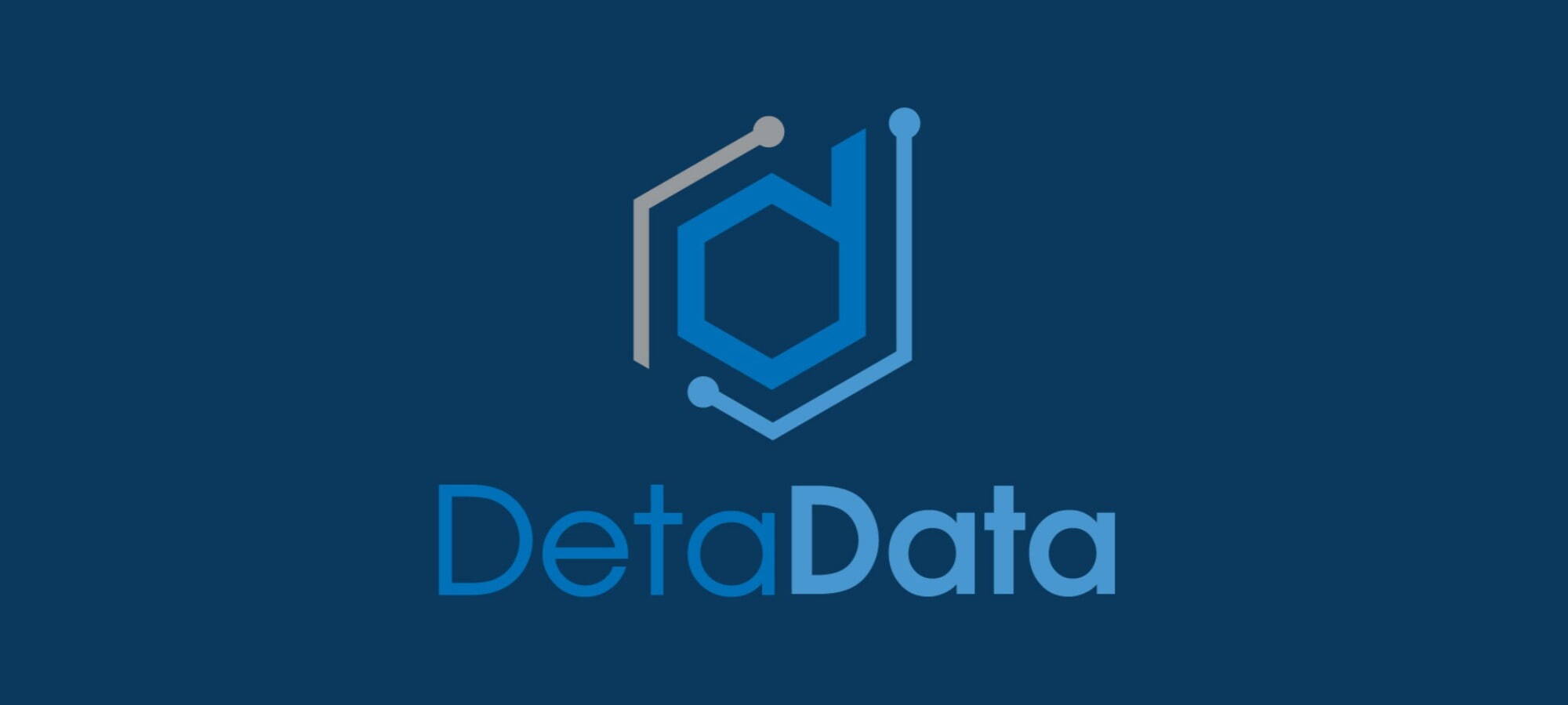 DetaData Logo